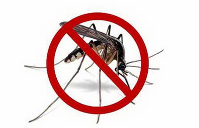 1608708992299561.jpg b09cb2c1c3212818c2da9b3c38492611_调整大小.jpg