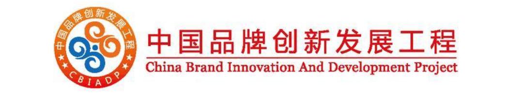 中国品牌创新发展工程 中国品牌创新发展工程