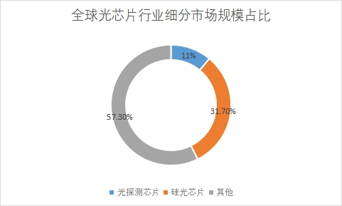 细分市场规模占比 细分市场规模占比