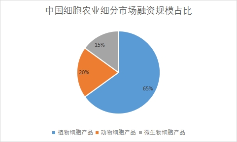 细分市场融资规模占比 细分市场融资规模占比
