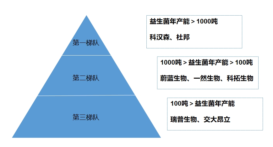 市场梯队 市场梯队