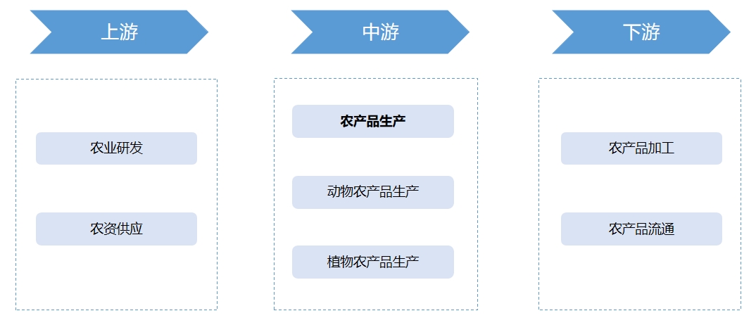 产业链全景 产业链全景