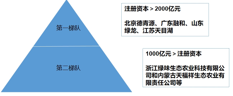 市场梯队 市场梯队