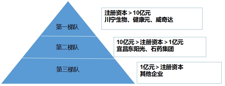 中国抗生素行业竞争格局及重点企业研究