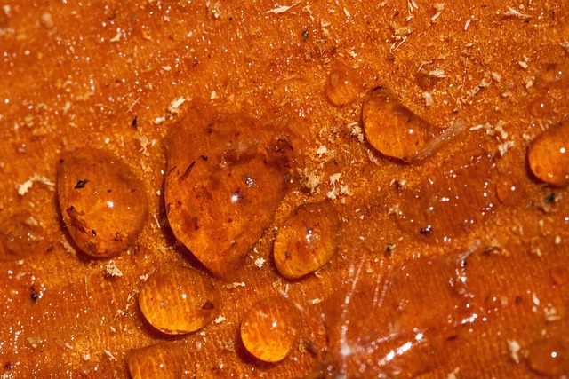 中国合成树脂市场调研 中国合成树脂市场调研