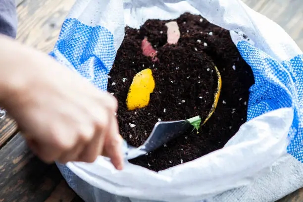 中国有机肥料行业的发展前景及趋势预测