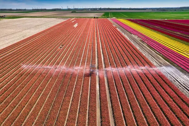 中国农药市场现状及前景研究 中国农药市场现状及前景研究