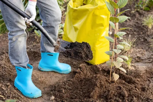中国有机肥料行业现状分析
