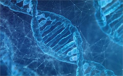 中国细胞与基因治疗（CGT）行业调研