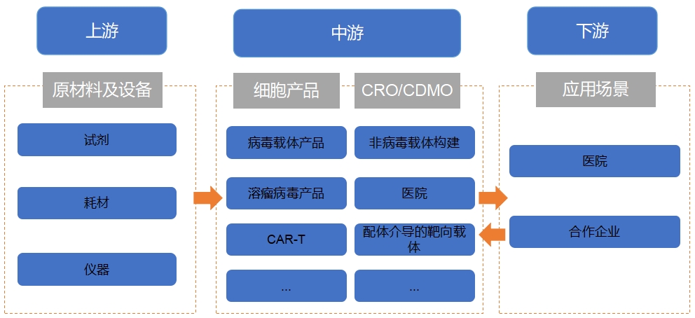 全球细胞与基因治疗(CGT)行业<a href= 全球细胞与基因治疗(CGT)行业分析报告