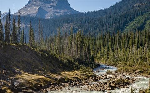 山西：三年计划！山西加快推动农村黑臭水体清零