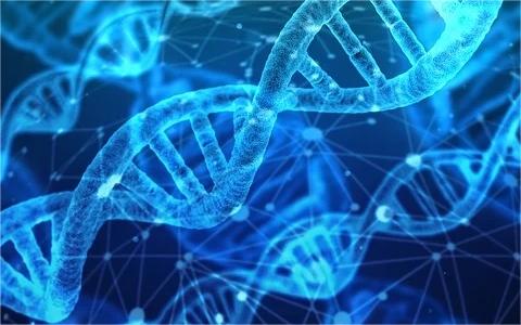 全球及中国基因编辑行业研究报告