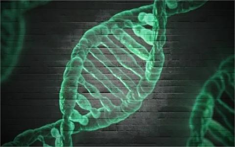 中国基因编辑市场调研报告