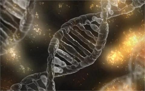 中国基因编辑行业发展机遇分析及趋势预测