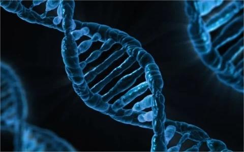 中国基因编辑行业调研