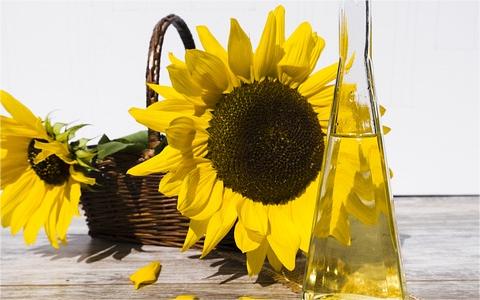 2023年全球及中国食用油行业发展现状研究及前景预测报告 2023年全球及中国食用油行业发展现状研究及前景预测报告