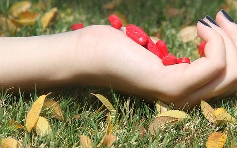 中国数字心理健康服务行业发展壁垒分析及趋势预测