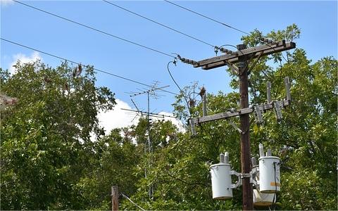 全球及中国电力变压器行业发展现状分析及前景预测报告