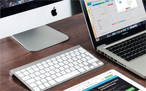 全球及中国面板行业研究报告