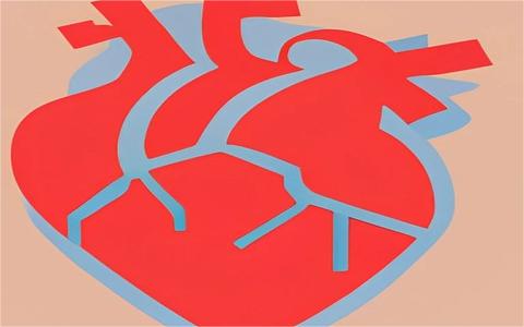 2023年全球及中国心脏瓣膜行业发展现状研究及前景预测报告 2023年全球及中国心脏瓣膜行业发展现状研究及前景预测报告