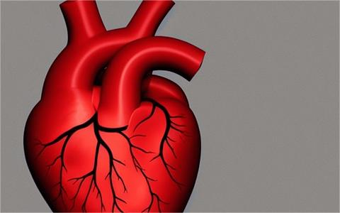 中国心脏瓣膜市场发展现状分析 中国心脏瓣膜市场发展现状分析