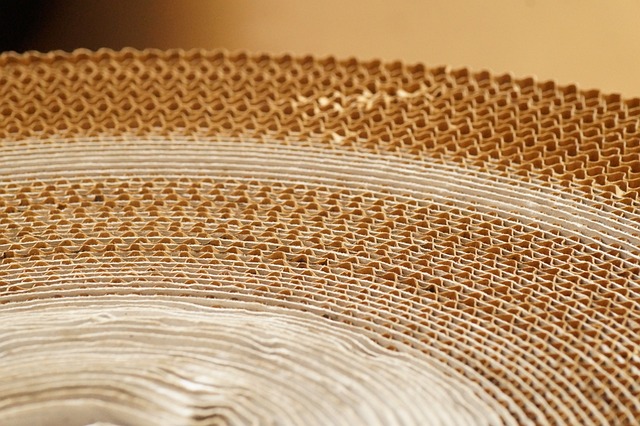 《深入推进快递包装绿色转型行动方案》解读