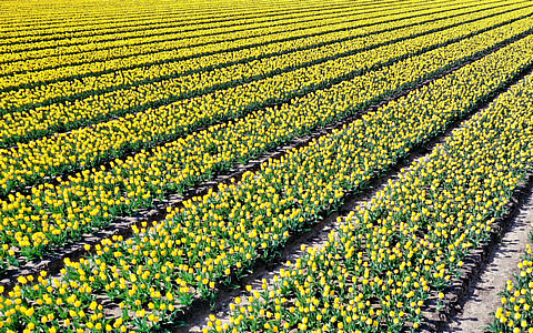 《全国现代设施农业建设规划（2023&mdash;2030年）》解读