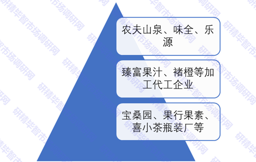 中国NFC果汁竞争梯队 中国NFC果汁竞争梯队