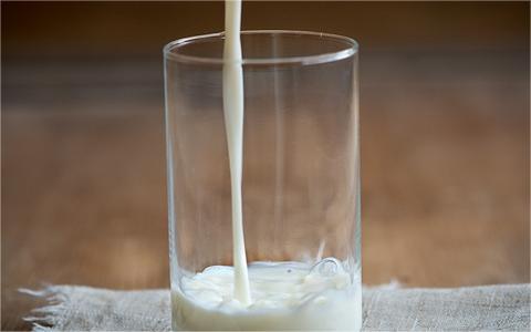 中国羊奶行业调研 中国羊奶行业调研