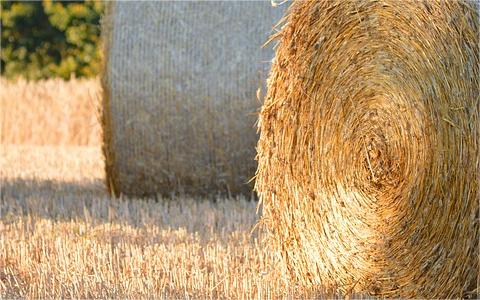 中国秸秆市场发展现状分析 中国秸秆市场发展现状分析