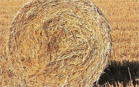 全球及中国秸秆行业研究报告 全球及中国秸秆行业研究报告