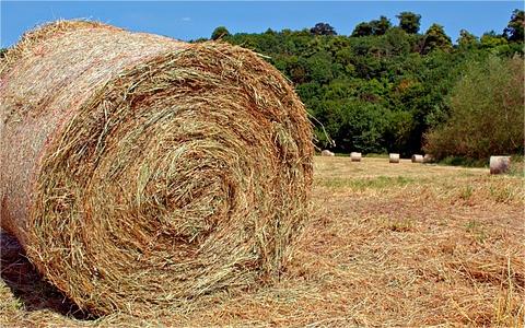 中国秸秆行业发展机遇分析及趋势预测研究报告 中国秸秆行业发展机遇分析及趋势预测研究报告