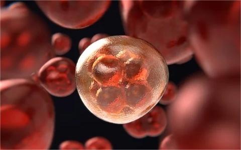 中国CAR-T免疫细胞治疗行业发展环境分析及前景预测研究报告 中国CAR-T免疫细胞治疗行业发展环境分析及前景预测研究报告