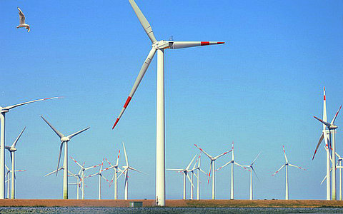 关于加强生态环境分区管控的意见政策解读 关于加强生态环境分区管控的意见政策解读