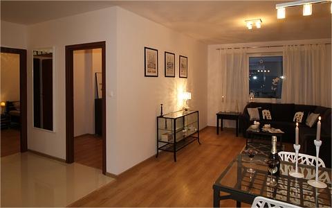 中国整木家装行业研究报告 中国整木家装行业研究报告