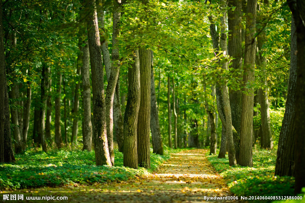 政策研究报告：[生态?；げ钩ヌ趵齗解读