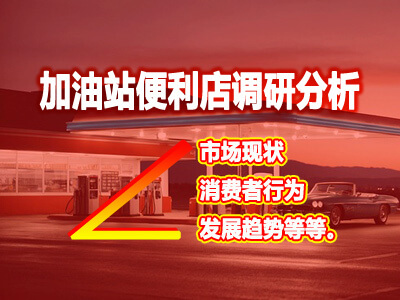 加油站便利店市场现状/消费者行为/发展趋势等调研分析