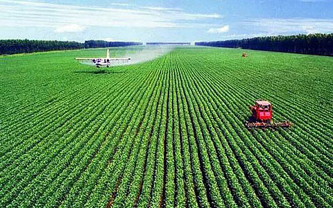 关于扶持新型农业经营主体和服务主体提升发展三年攻坚行动十三条措施政策解读 关于扶持新型农业经营主体和服务主体提升发展三年攻坚行动十三条措施政策解读