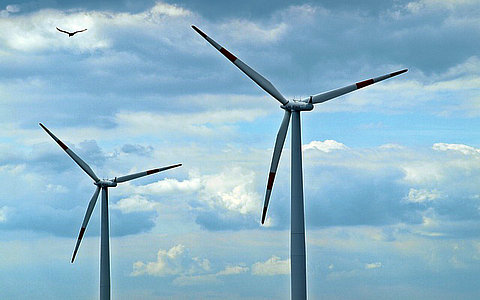 关于组织开展&ldquo;千乡万村驭风行动&rdquo;的通知政策解读