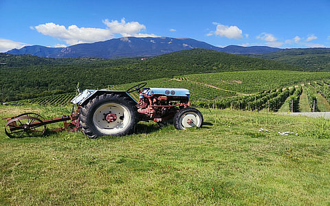 2024年家政兴农行动工作方案政策解读 2024年家政兴农行动工作方案政策解读