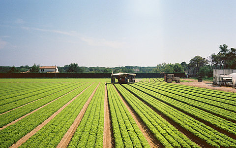 关于开展2024年农业品牌精品培育工作的通知政策解读 关于开展2024年农业品牌精品培育工作的通知政策解读