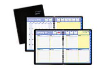 美国计划本市场调研报告