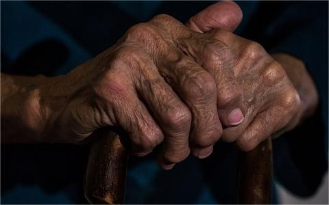 2024年全球及中国养老护理行业现状及前景调研报告 2024年全球及中国养老护理行业现状及前景调研报告