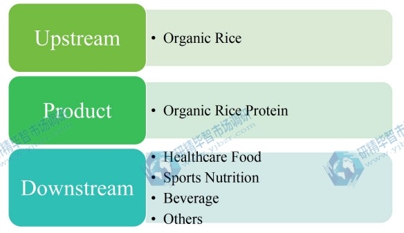 有机大米蛋白产业链分析