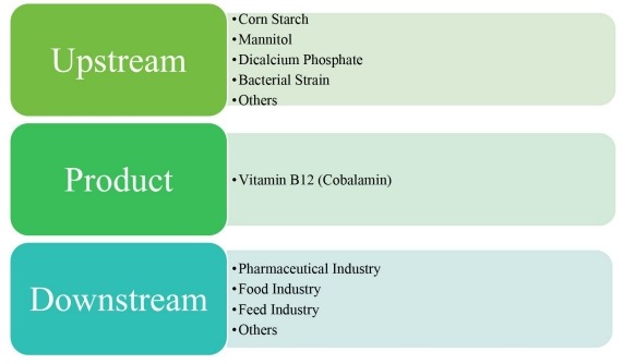 维生素B12(钴胺素)价值链分析 维生素B12(钴胺素)价值链分析