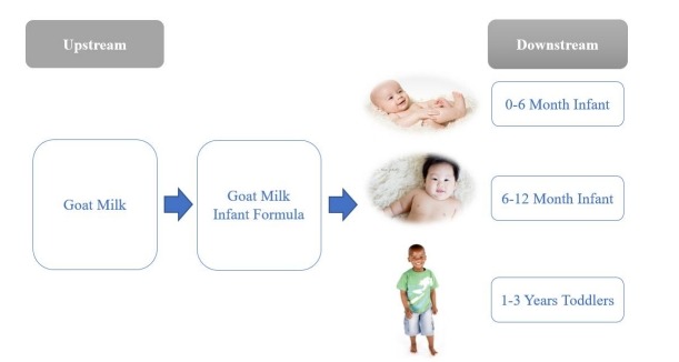 山羊奶婴儿配方奶粉价值链分析 山羊奶婴儿配方奶粉价值链分析