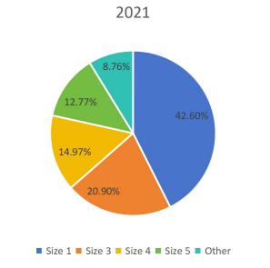 2021年按类型划分的全球足球生产市场份额(%) 2021年按类型划分的全球足球生产市场份额(%)