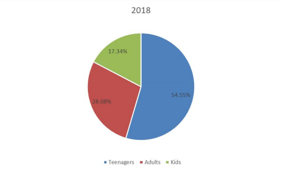 2018年按应用划分的全球滑板销售市场份额（%）