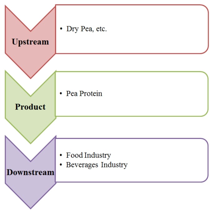 豌豆蛋白产业链分析