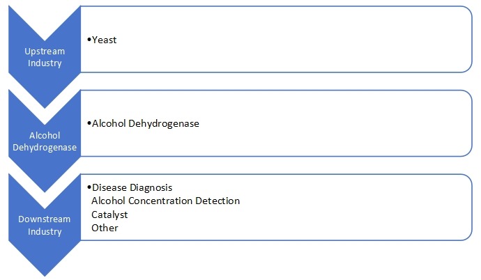 酒精脱氢酶产业链分析 酒精脱氢酶产业链分析